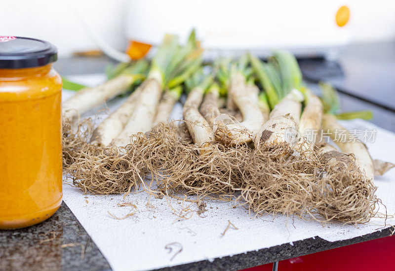 long onions ready to be roasted in chimney,  Catalonian tradition - Calçots